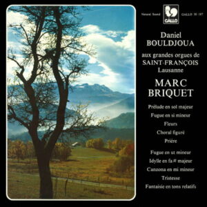 MARC BRIQUET – DANIEL BOULDJOUA, ORGAN