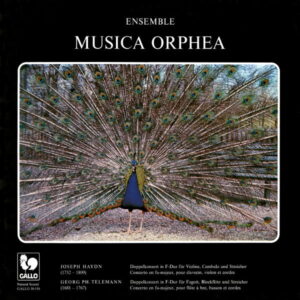 HAYDN : DOUBLE CONCERTO IN F MAJOR – TELEMANN : CONCERTO FOR RECORDER AND BASSOON IN F MAJOR – MUSICA ORPHEA